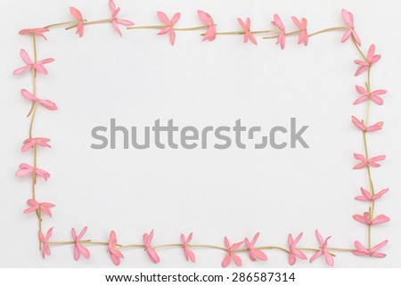 Pink flowers formed as frame on white background