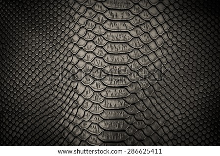 black snakeskin pattern texture background Royalty-Free Stock Photo #286625411