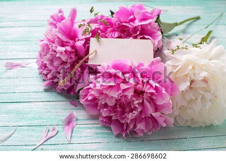 Splendid pink and white peonies flowers  and empty tag on turquoise painted wooden background. Selective focus. Place for text.