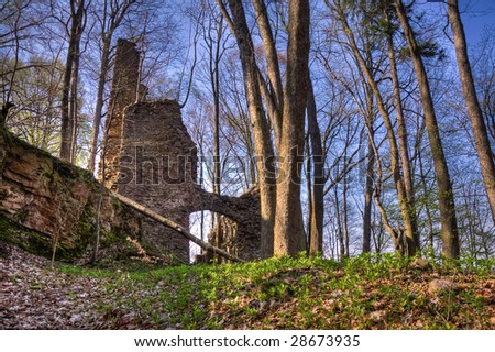 medieval castle ruins  in the forest