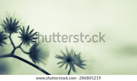 flowers in vintage color style on mulberry paper texture for background
