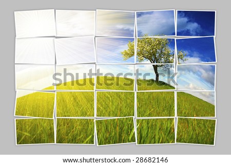 Multiple filmstrip photo frames composing summer landscape with lonely tree