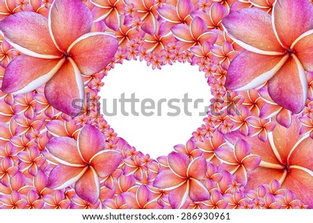 flowers frame  in white Heart background isolated