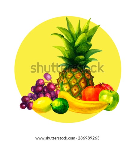 Hand drawn watercolor fresh organic fruits illustration set on white background vector