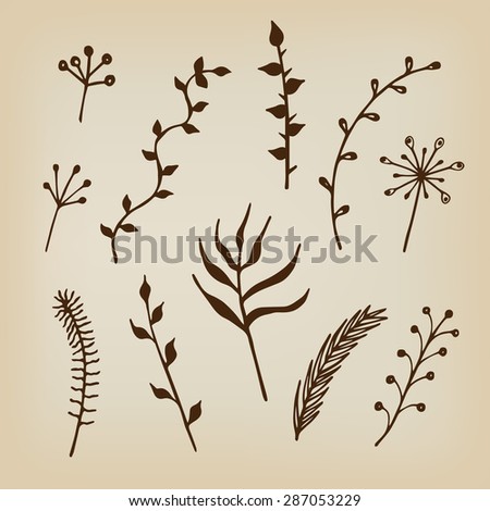 Hand-drawn floral ornaments. Herbs and twigs for spring and summer design. Vintage labels. Vector.