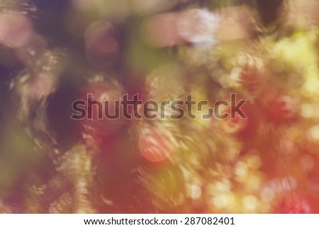 Natural blur. Background bokeh. Red cherry on the tree. Design element.