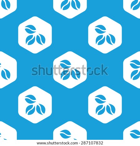 Blue image of three coffee beans in white hexagon, repeated on blue