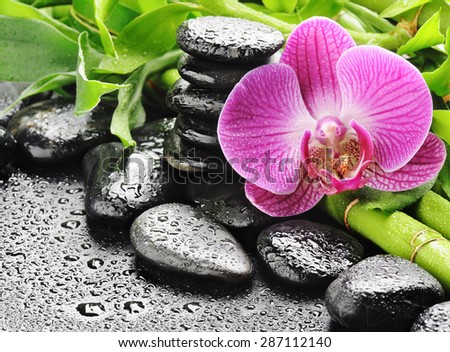 spa concept of orchid flower and spa stones