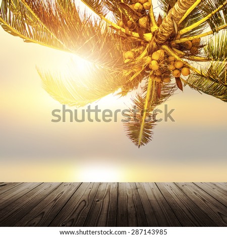 Empty wooden table. Design banner background with coconut palm tree over the ocean at sunrise.