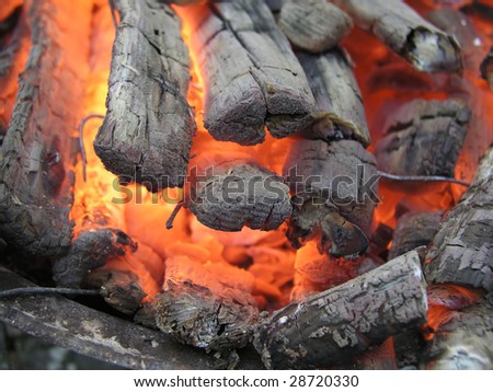 burning firewood