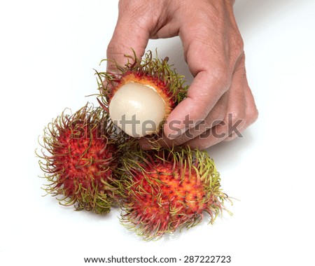 Fresh rambutan with male hand
