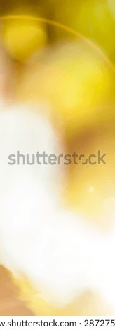 Sunny out of focus background - artistic wallpaper