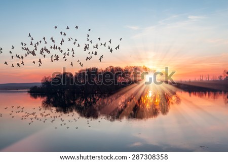 Silhouette of birds flying above the lake at amazing sunset Royalty-Free Stock Photo #287308358