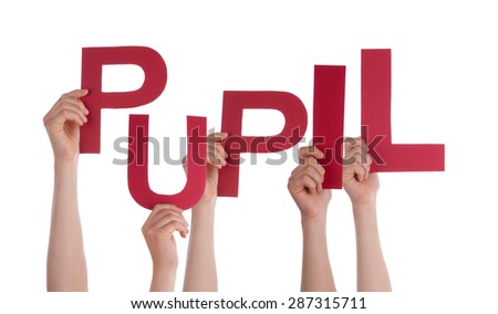 Many Caucasian People And Hands Holding Red Letters Or Characters Building The Isolated English Word Pupil On White Background