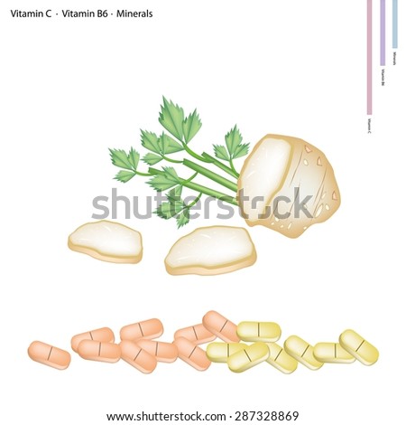Healthcare Concept, Illustration of Roots of Celery with Vitamin C, Vitamin B6 and Minerals Tablet, Essential Nutrient for Life. 