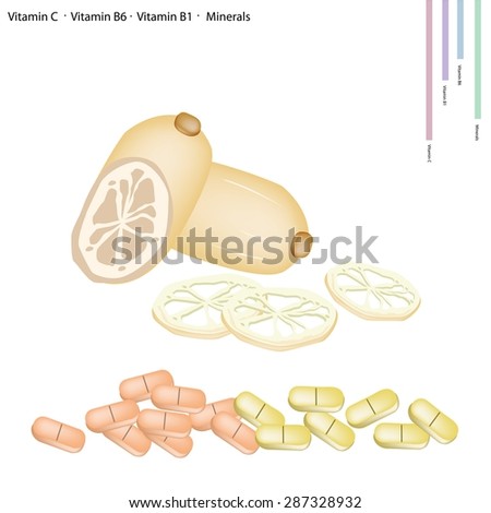 Healthcare Concept, Illustration of Lotus Roots or Water Lily Roots with Vitamin C, Vitamin B6, Vitamin B1 and Minerals Tablet, Essential Nutrient for Life. 