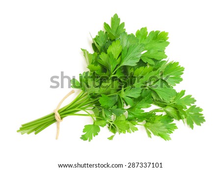 parsley bunch isolated on white background Royalty-Free Stock Photo #287337101