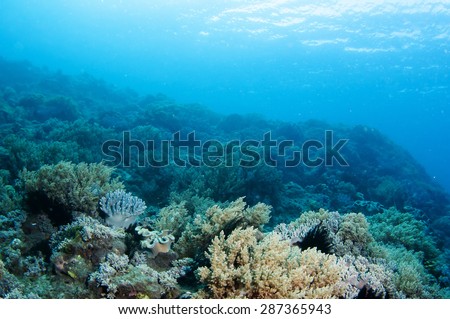 Abstract underwater scene, sun rays and coral reef.