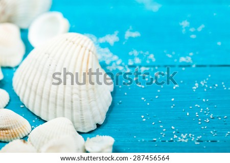 Seashells over wooden background. studio macro shot