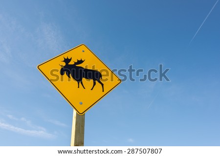 Moose warning road sign in Alberta, Canada with bright blue sky behind.