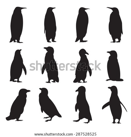 Vector image of a collection of penguins' silhouettes