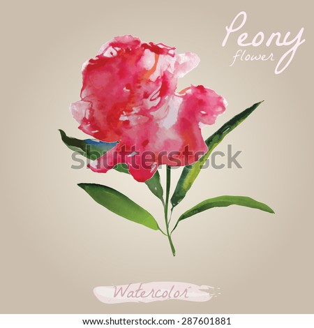 The composition of the peony painted watercolour banners, vector illustration