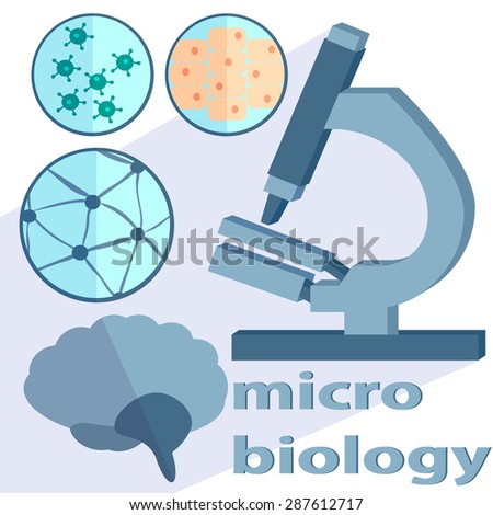 Set of scientific subjects for Microbiology and neurobiology Petri dishes, microscope, brain into flat style.  illustration