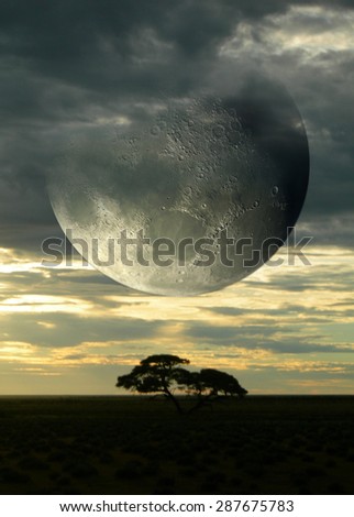 Surreal composition with sunset on the savanna and a giant moon piercing a cloudy sky, for science fiction or fantasy backgrounds. Elements of this image were furnished by NASA.