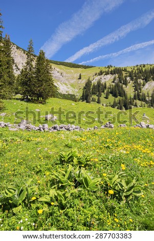 View to summit of Jaegerkamp in the Alps in Bavaria, Germany
