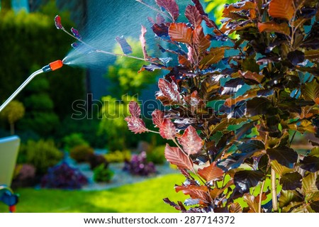 Backyard Garden Pest Control Spraying. Small Tree Spraying in the Garden. Royalty-Free Stock Photo #287714372
