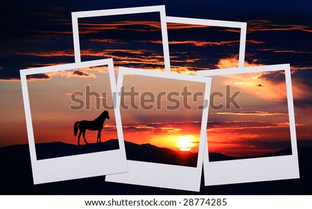 Silhouette of a horse at either sunrise or sunset at Lake Tahoe in both Nevada and California with old-fashioned film
