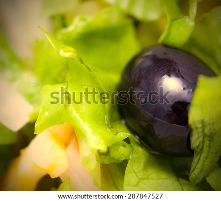 black olives and lettuce, close-up. small deph sharpness. instagram image retro style