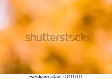Orange bokeh abstract background from tree shade