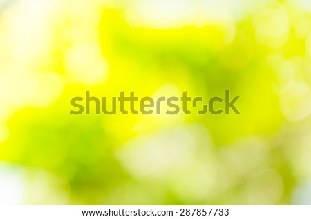 bokeh lights from nature use as background