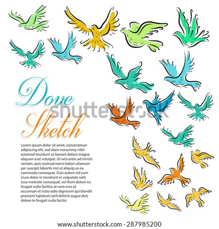 Colorful Dove and Pigeon birds Background Template
