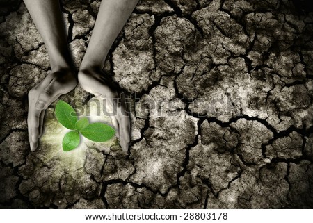 global warming theme human hands defending green grass sprout rising from rainless cracked ground Royalty-Free Stock Photo #28803178