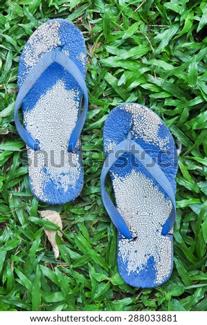 Slipper on grass background - vintage effect style pictures