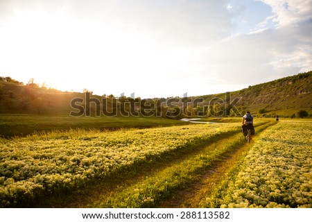 A mountain biker rides in valley with blossoming field of yellow flowers 