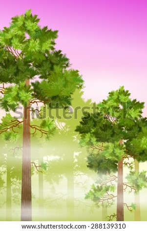 pine trees. morning landscape