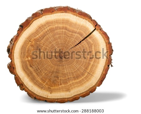 Tree Ring, Log, Wood. Royalty-Free Stock Photo #288188003
