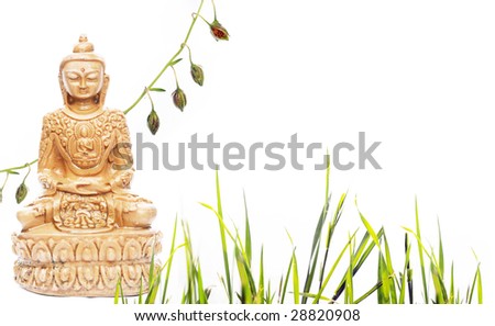 buddha and flora against white background
