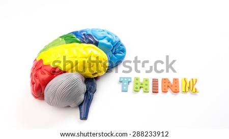 Colored map brain anatomy model with wooden alphabet letter of THINK. Isolated on white background.