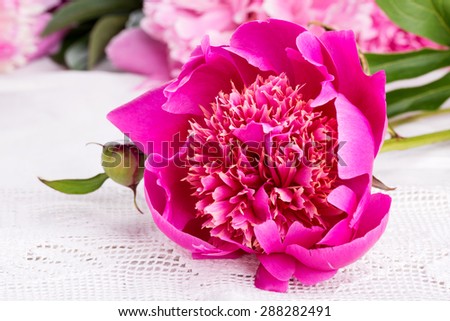 Peony on a white table