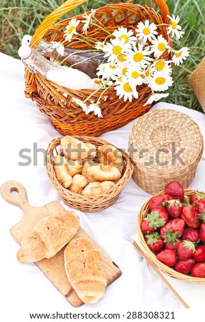 Summer picnic in camomile field in Crimea region 
