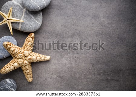 Starfish on gray stone surface. Travel background.