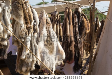 pelts of fur animals hang on a rope Royalty-Free Stock Photo #288338675