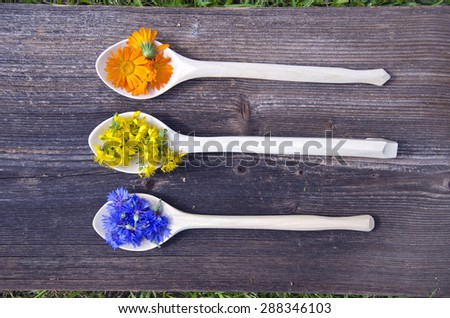 medical herbs flowers in new wooden spoons - cornflower, marigold and st. Johns wort
