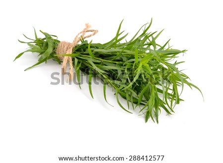 Tarragon (Artemisia dracunculus) Isolated on white background. Royalty-Free Stock Photo #288412577