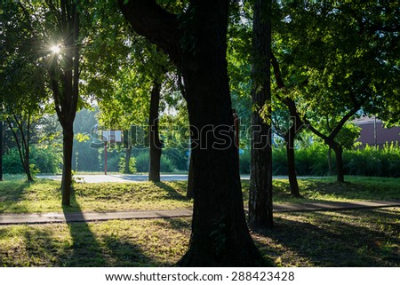 Sun photographed in early morning. Photo was taken around 6am, in park Dudova forest. In the background is basketball court, surrounded by trees. Light in the left corner is deliberately lighter.