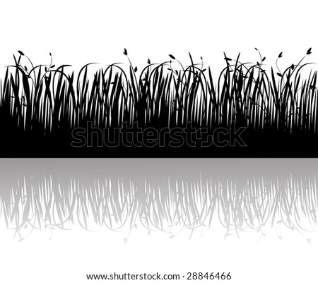 Grass silhouettes vector